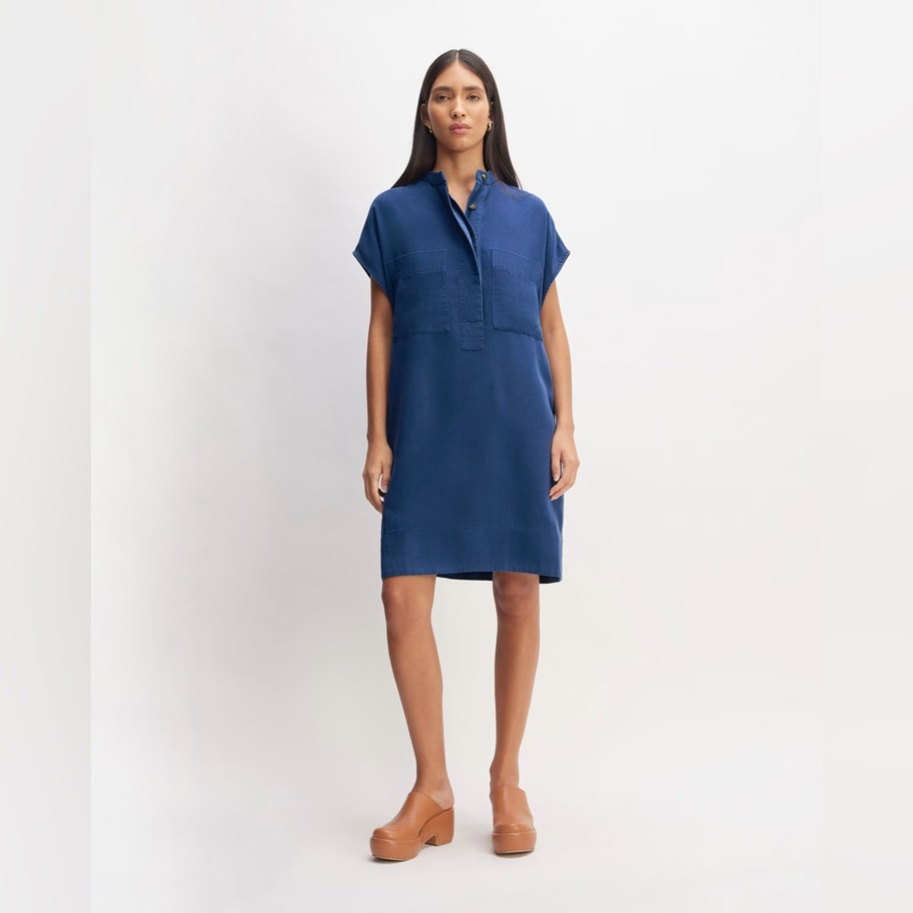 Everlane Tencel Easy Workwear Dress